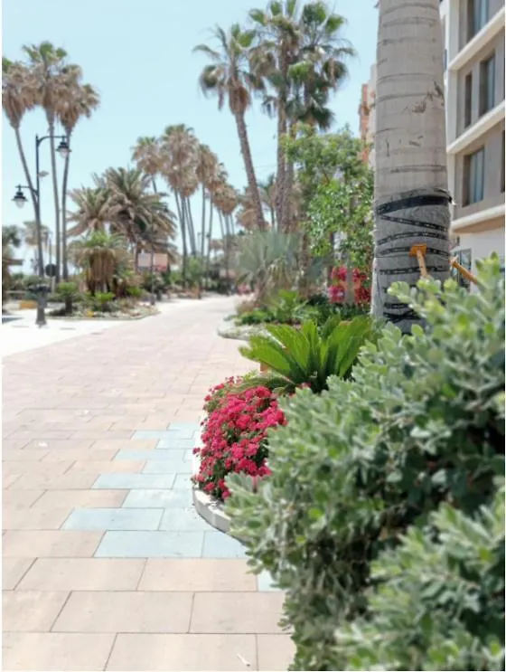 Beach Side Apartment -Estepona Estepona