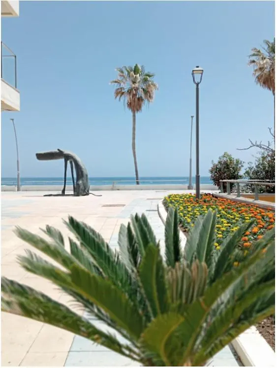 Beach Side Apartment -Estepona Spain
